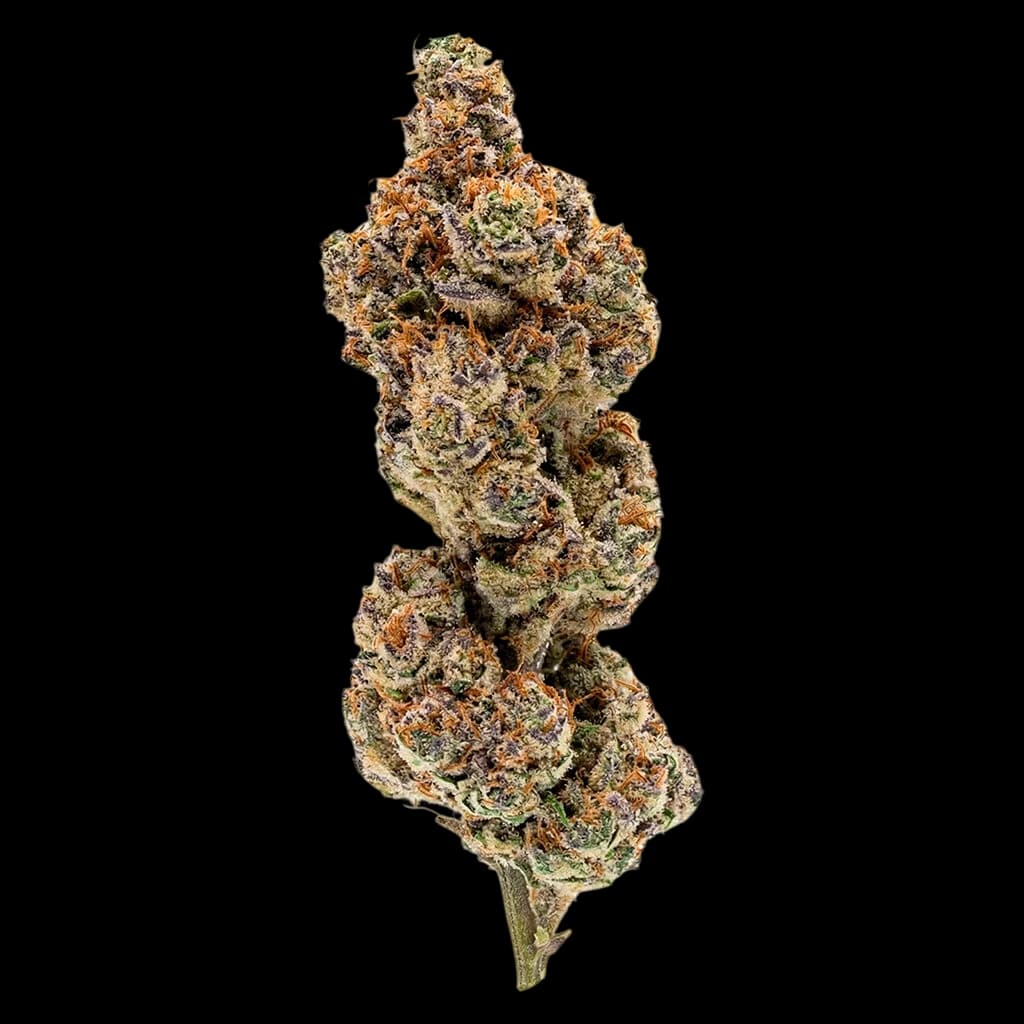 Overtime Punch Out cannabis dried flower with dense orange and green buds against a white background
