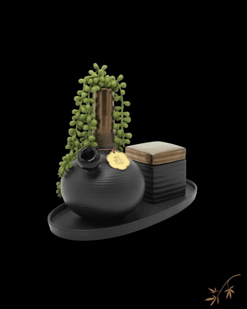 My Bud Vase DeAngelo black ceramic bong with trailing succulent plant and brass accents on display tray