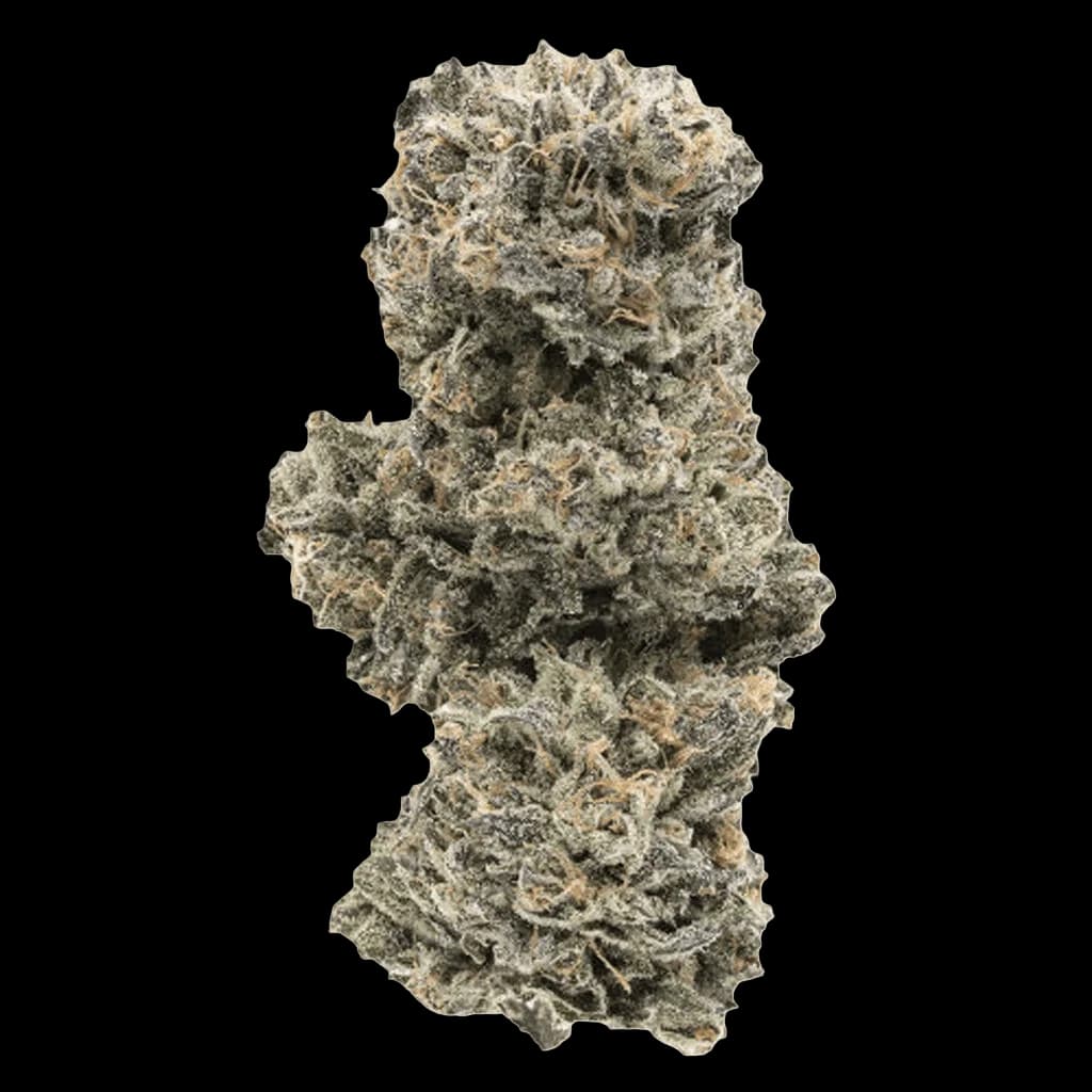 1964 Kush Mints cannabis dried flower with dense, frosty buds and pale green-grey coloring