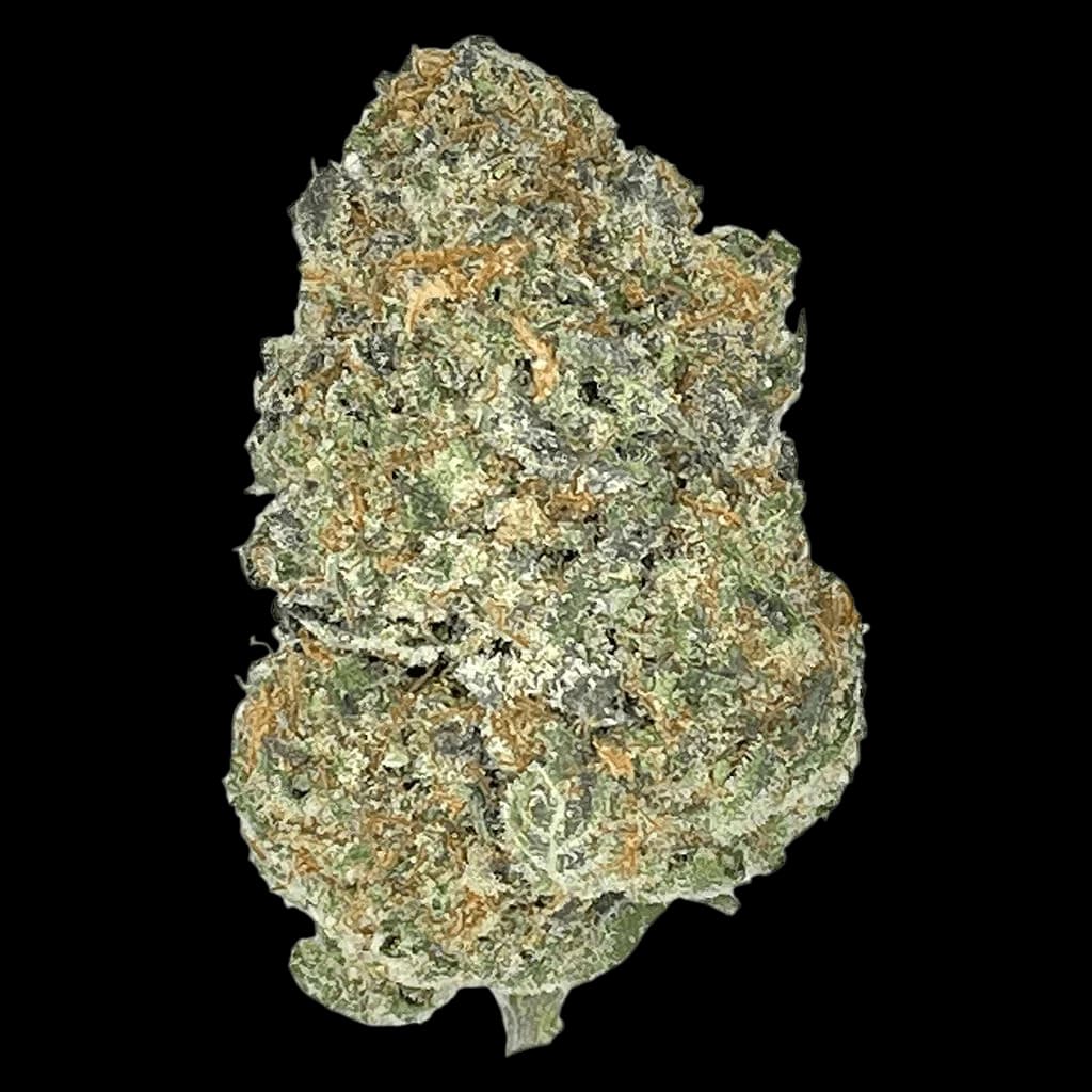 Orange Squeeze