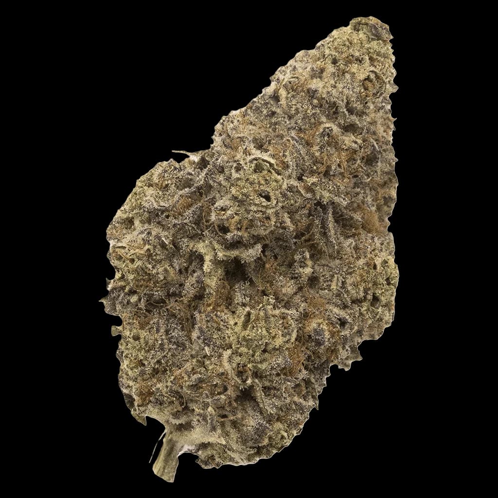 FIGR Chatty Kathy dried flower cannabis bud with dense trichome coverage and visible stem