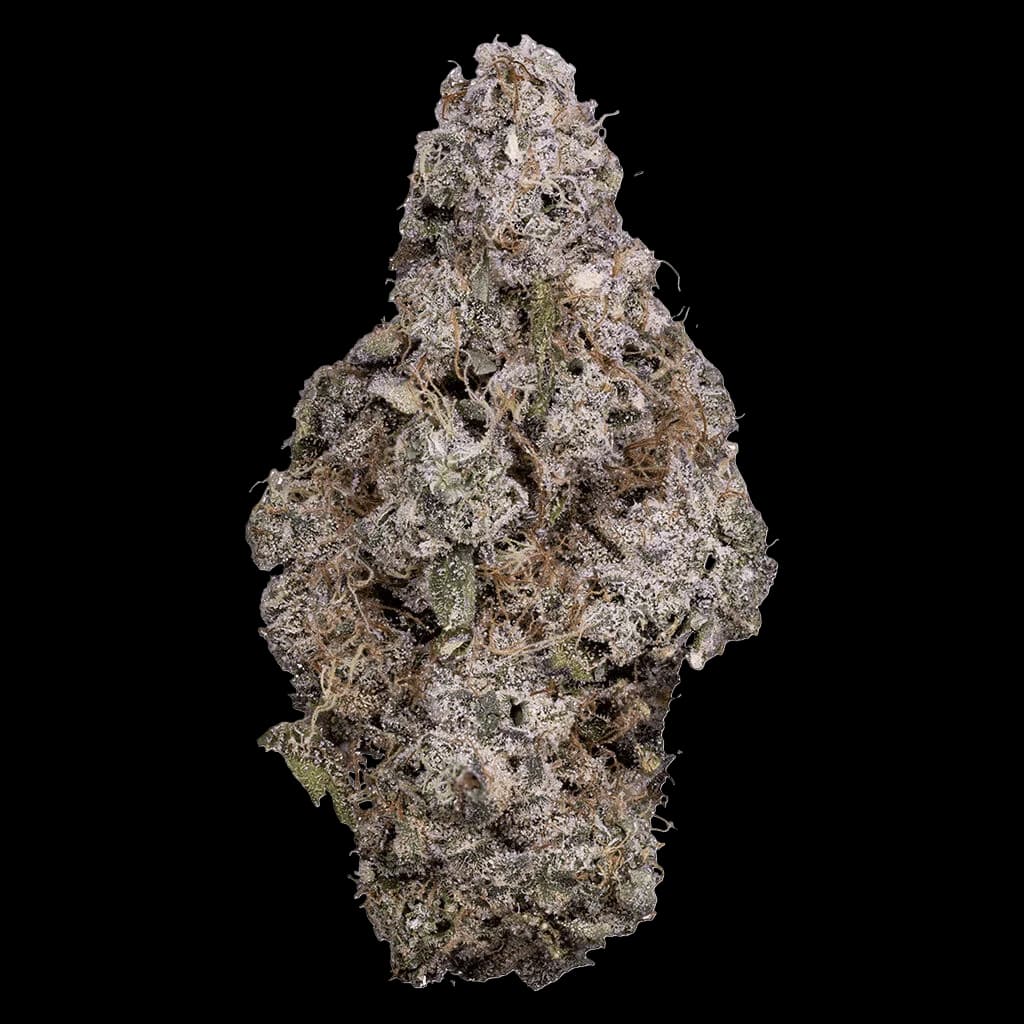 Tribal Porto Leche cannabis dried flower bud with dense trichomes and green undertones