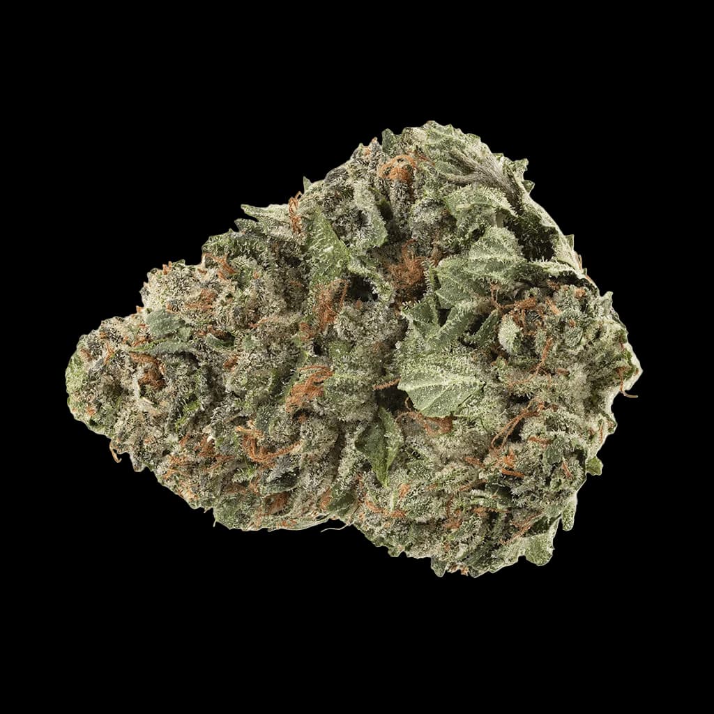 Homestead Bandwagon Hybrid cannabis dried flower with dense green buds and amber pistils