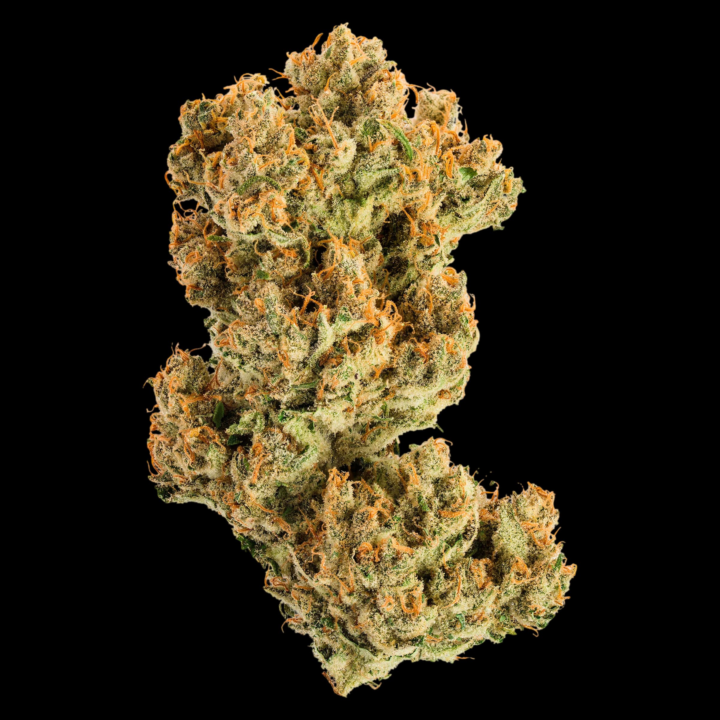 Jonny Chronic Acapulco Gold dried flower cannabis buds with golden-orange hairs and crystalline trichomes on white background