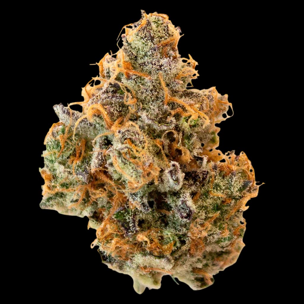 Pineapple Buds Hawaiian Pineapple cannabis dried flower with dense trichomes and golden-orange pistils
