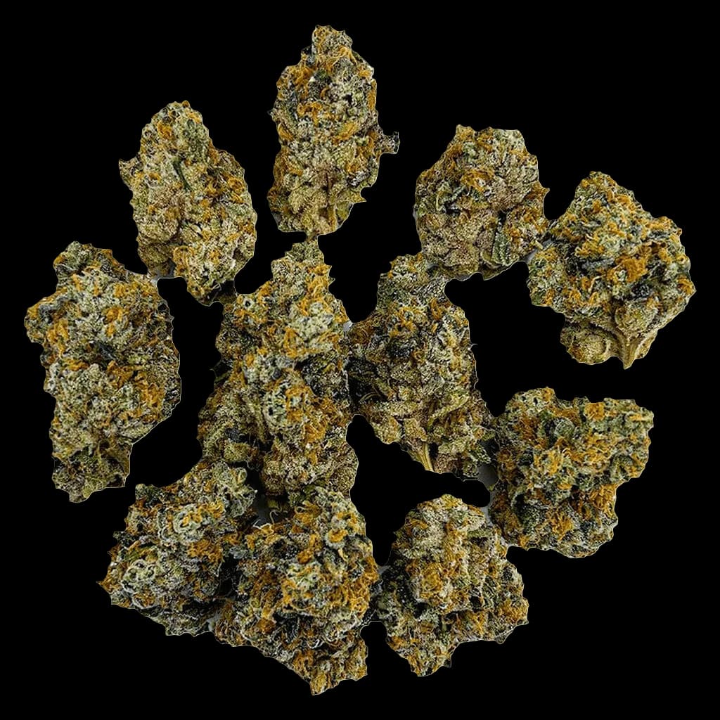 Next Friday G.A.S dried flower buds with golden and green trichomes on white background