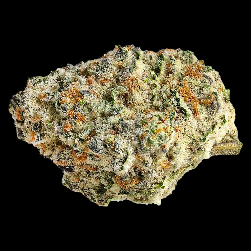 The Original Fraser Valley Weed Co. Strawberry Amnesia cannabis dried flower bud with dense trichomes, green and orange hairs