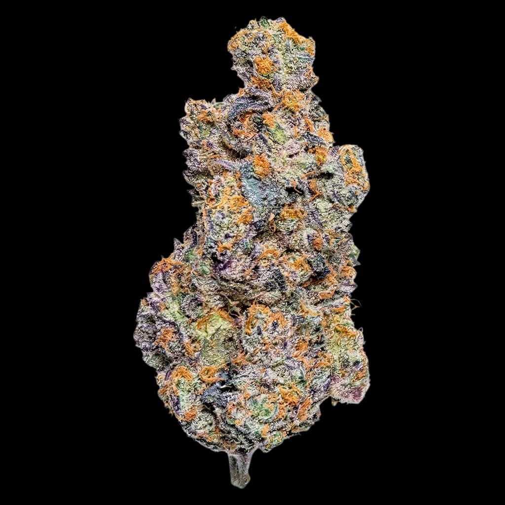 Conspiracy Reptilian Reserve cannabis dried flower bud with dense orange and green trichomes on white background