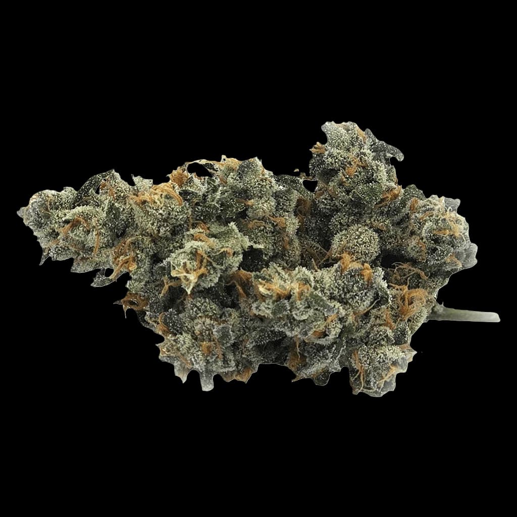 Bluenose Berry
