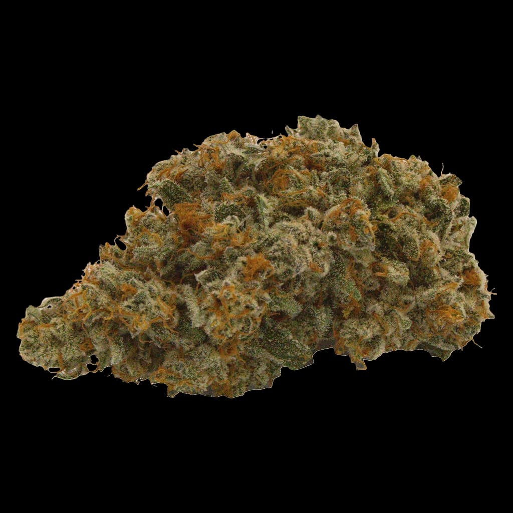 Truro Lemon-Up dried cannabis flower with dense green and golden-brown buds against a white background