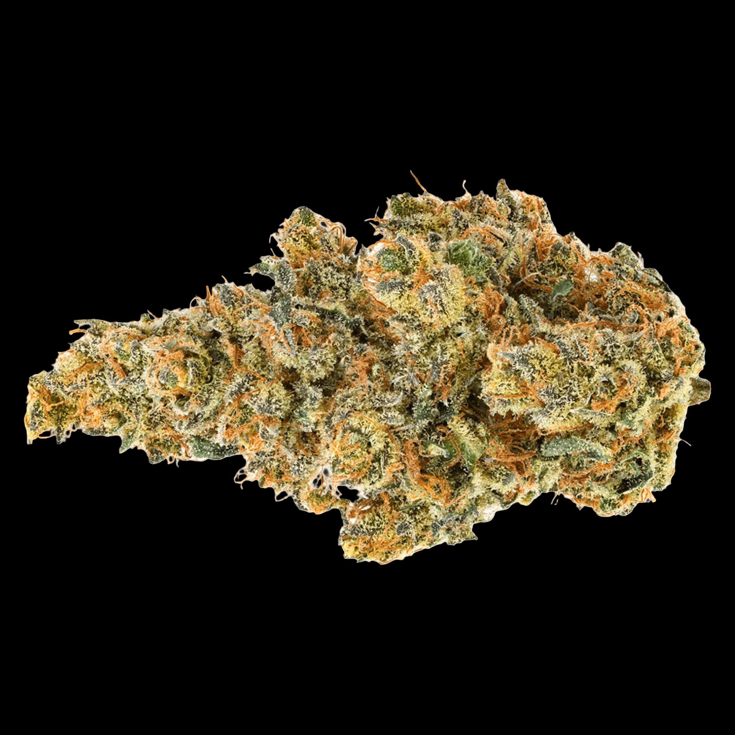 Coast Mountain Cannabis BC Organic Dancehall dried flower buds with green and orange tones
