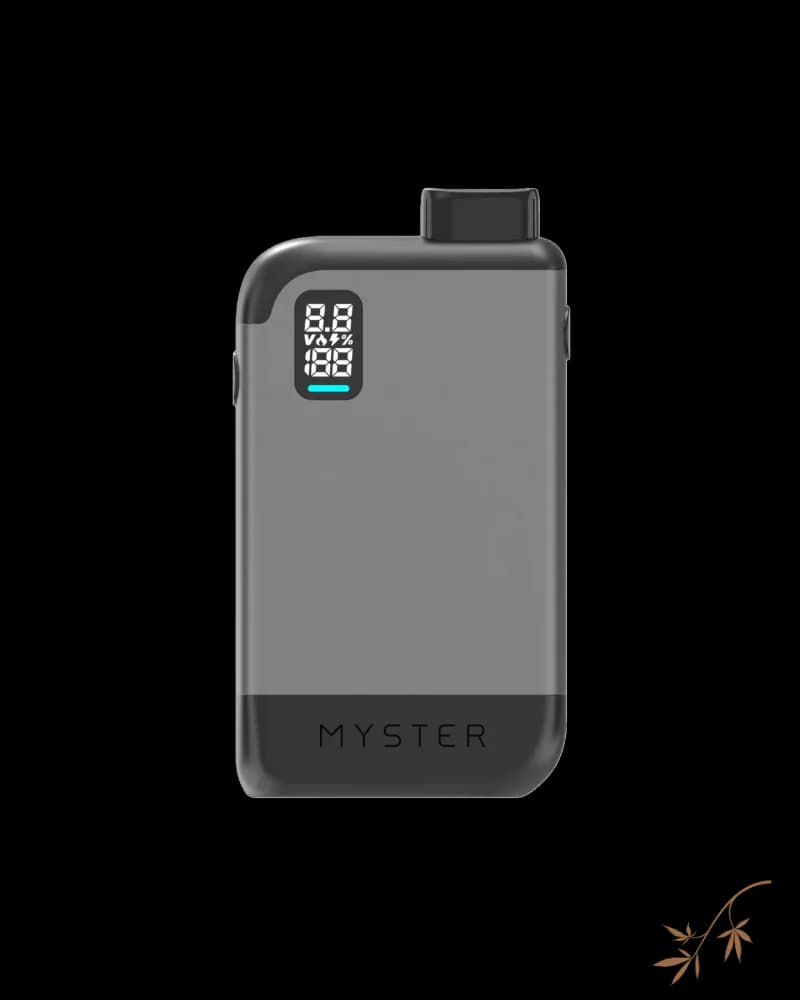 Myster portable vape device with digital display showing temperature and percentage settings, gray and black design