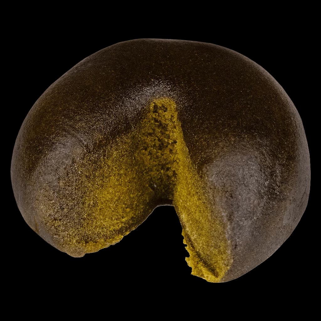 XK Haschtag STRWBRRY cannabis hash with yellow-green kief coating and dark interior visible in cross-section