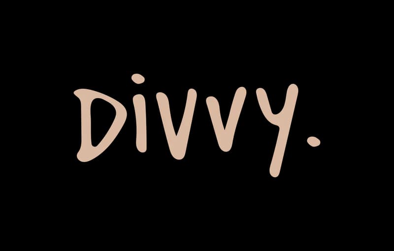 Divvy logo